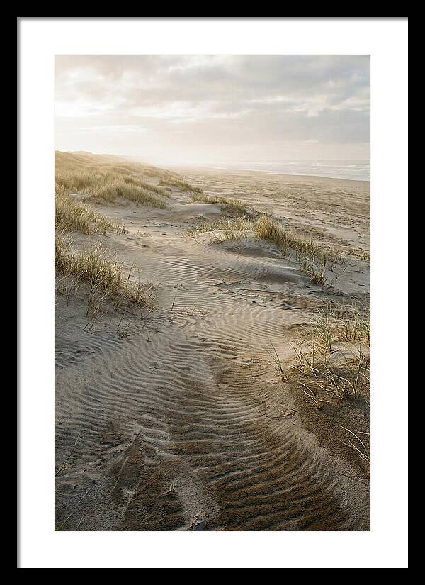 Beach Dunes At Dawn