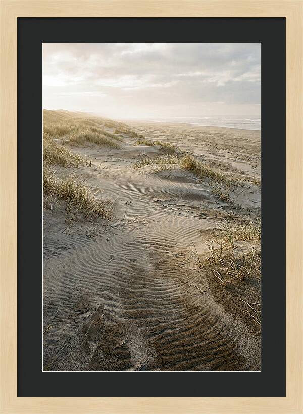 Beach Dunes At Dawn