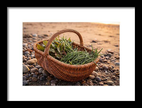 Beach Foraging Basket