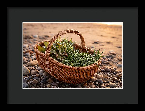 Beach Foraging Basket