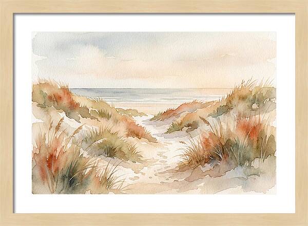 Beach Grass Dune Pathway