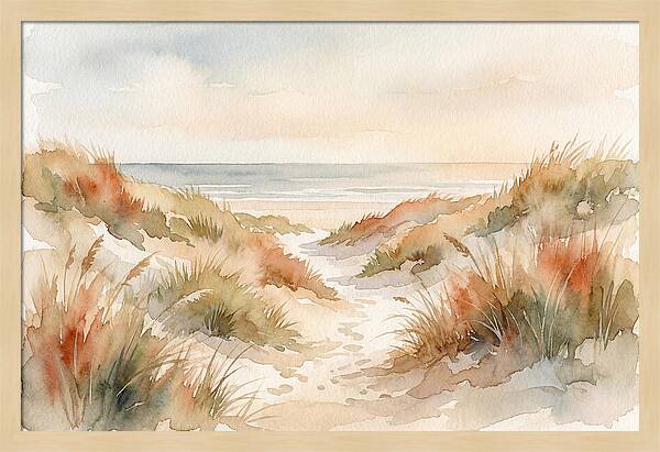 Beach Grass Dune Pathway