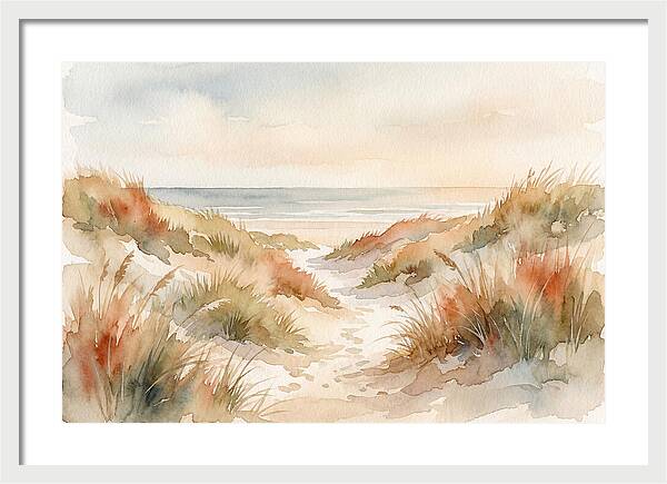 Beach Grass Dune Pathway