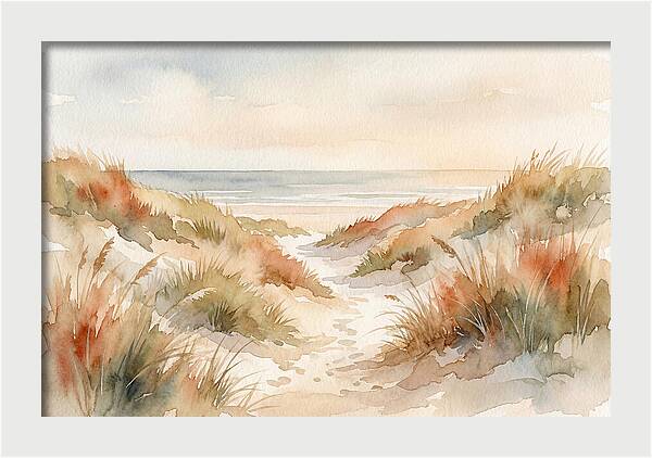 Beach Grass Dune Pathway