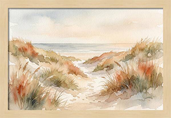 Beach Grass Dune Pathway