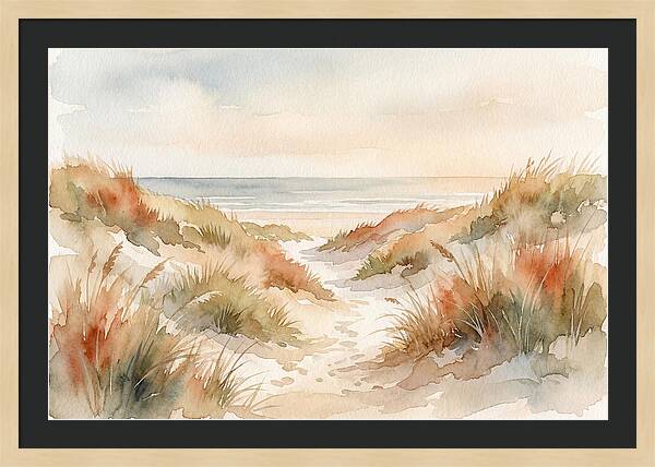 Beach Grass Dune Pathway