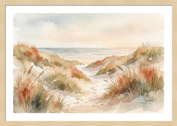 Beach Grass Dune Pathway