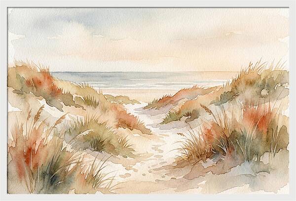 Beach Grass Dune Pathway