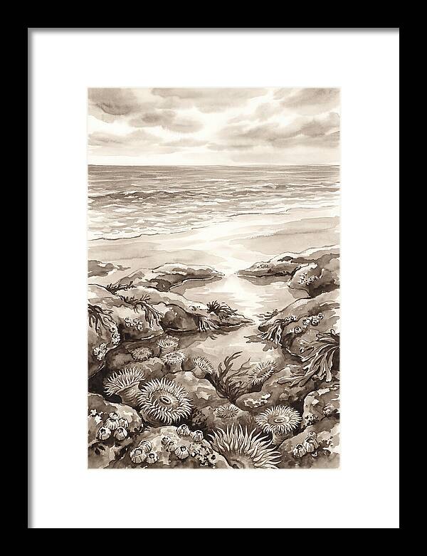 Beach With Natural Rock Pools