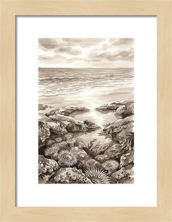 Beach With Natural Rock Pools