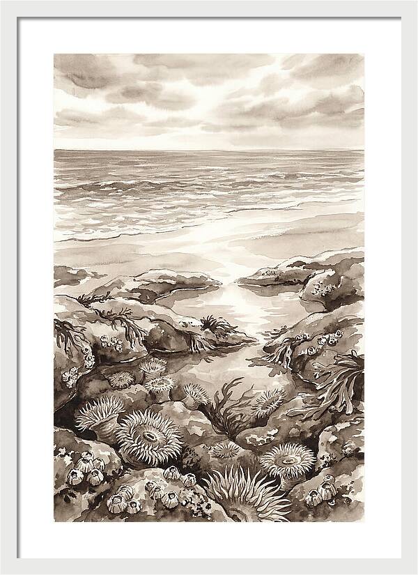 Beach With Natural Rock Pools