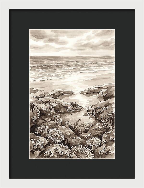 Beach With Natural Rock Pools