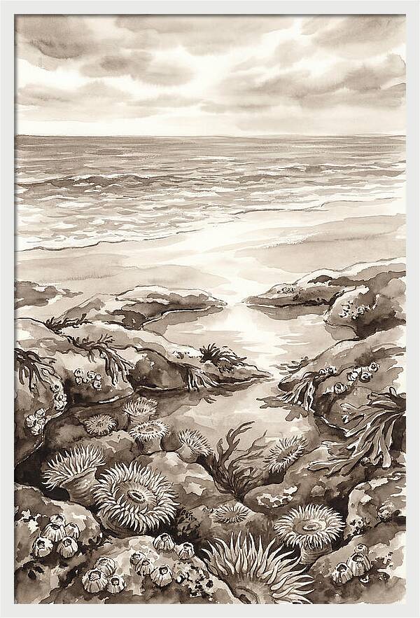 Beach With Natural Rock Pools
