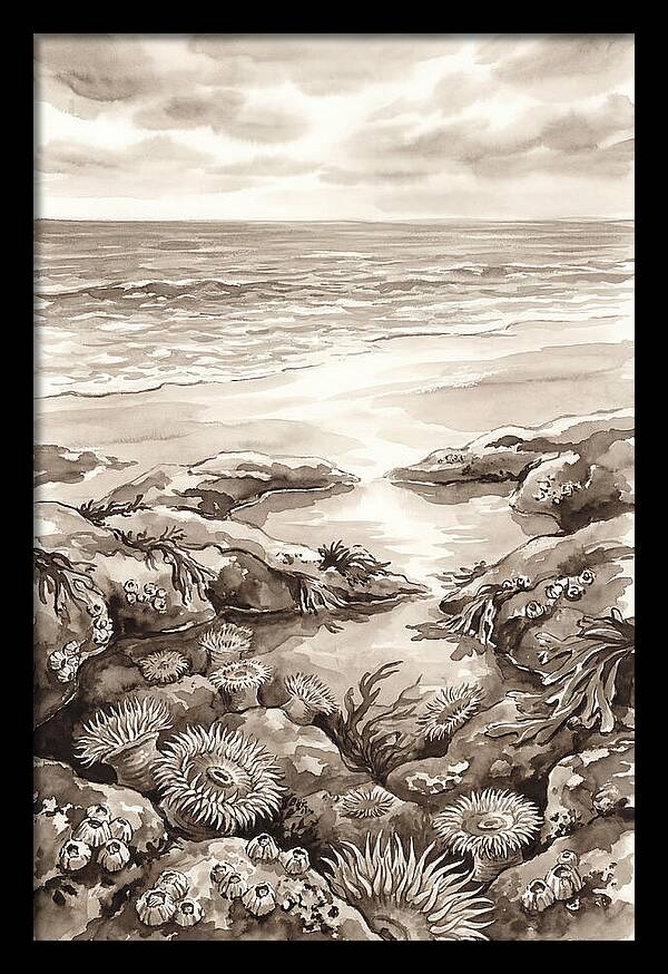 Beach With Natural Rock Pools
