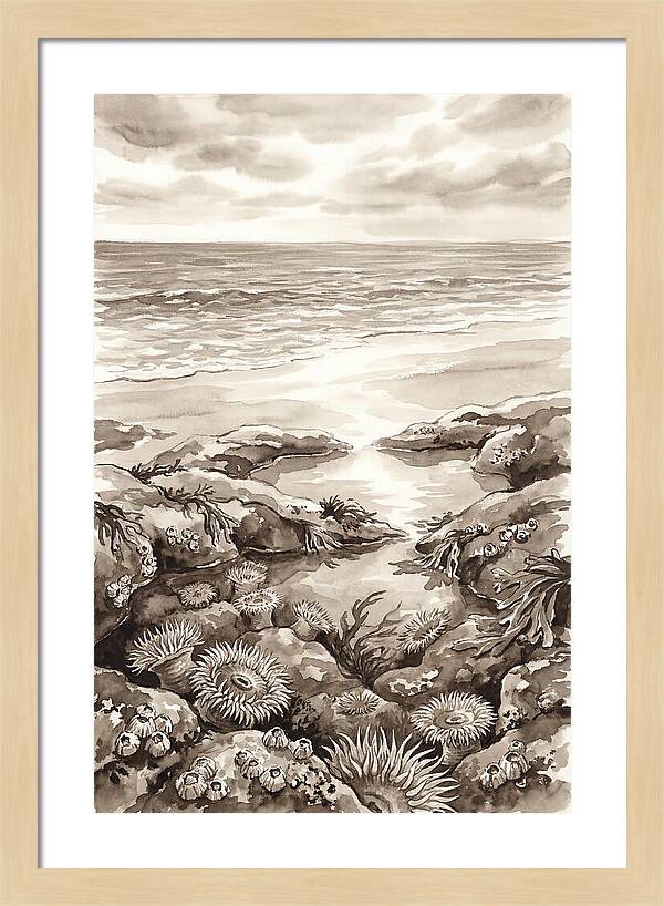 Beach With Natural Rock Pools