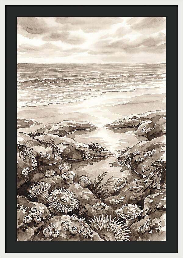 Beach With Natural Rock Pools