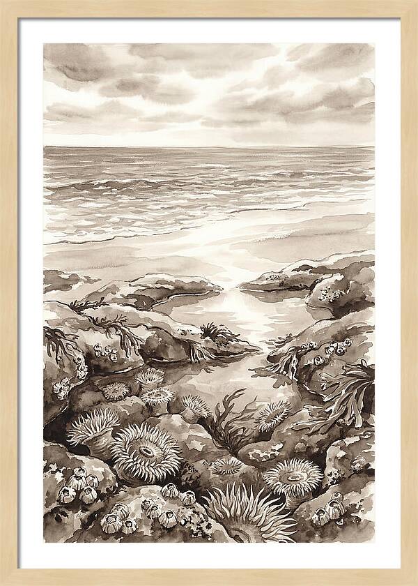 Beach With Natural Rock Pools