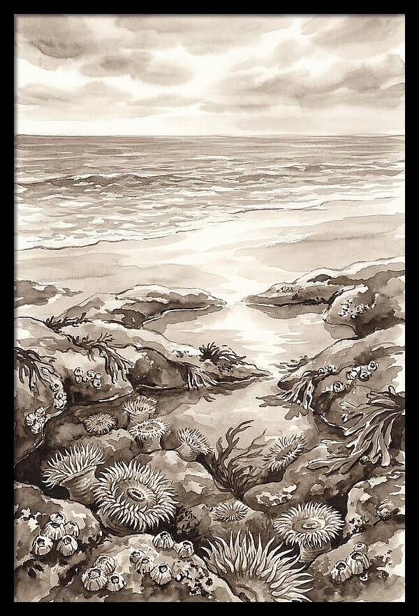 Beach With Natural Rock Pools