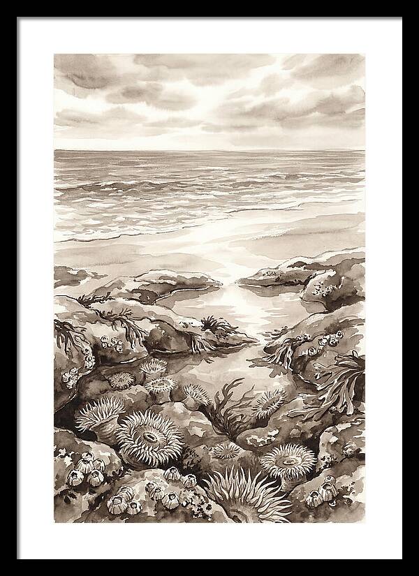 Beach With Natural Rock Pools