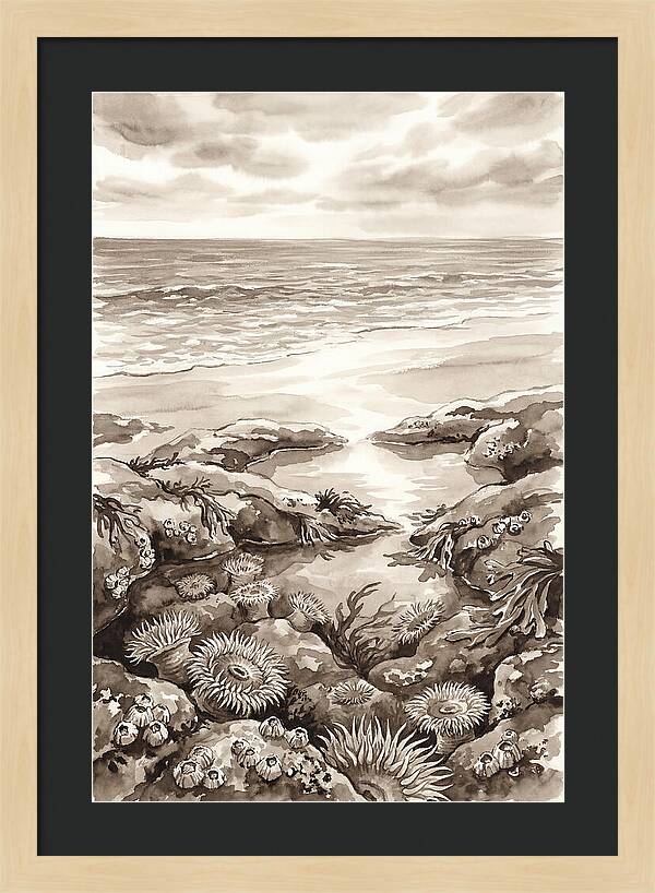 Beach With Natural Rock Pools