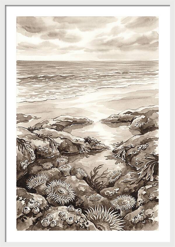 Beach With Natural Rock Pools
