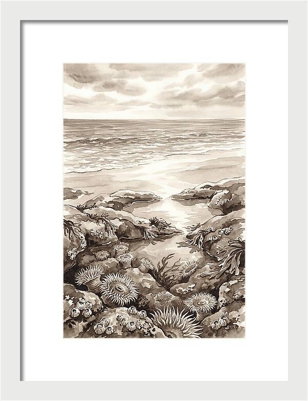 Beach With Natural Rock Pools