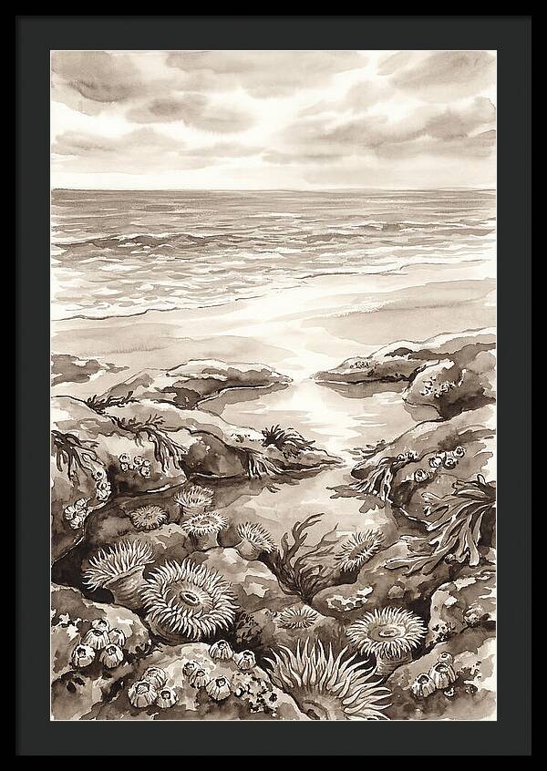 Beach With Natural Rock Pools