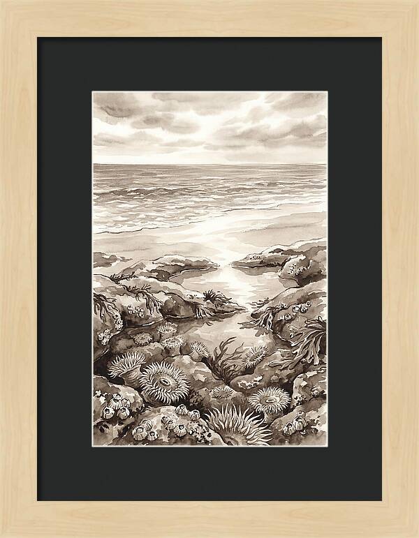 Beach With Natural Rock Pools