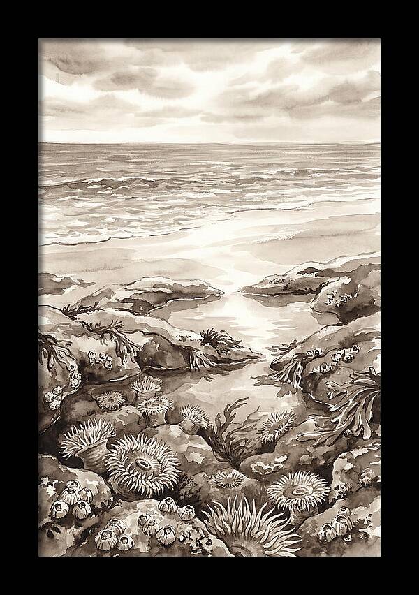 Beach With Natural Rock Pools
