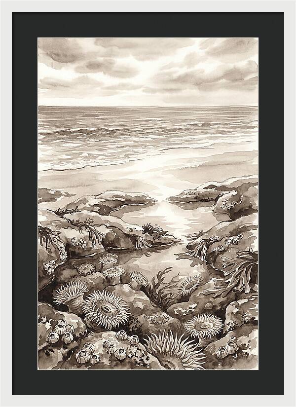 Beach With Natural Rock Pools