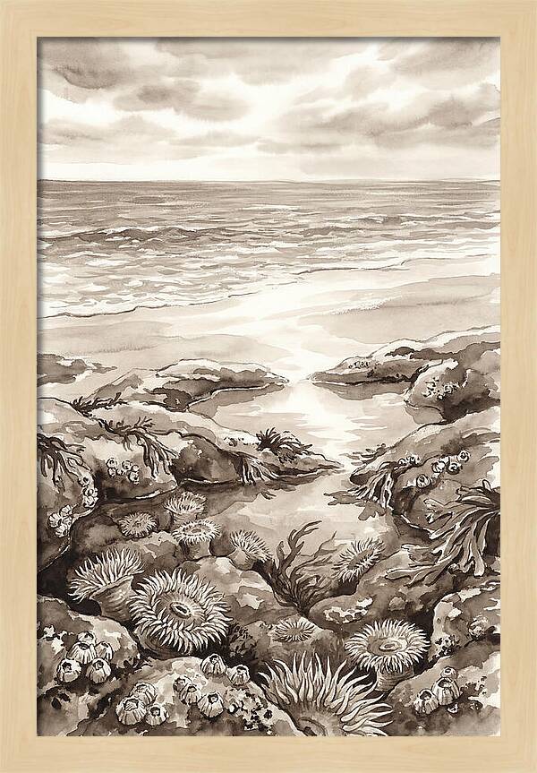 Beach With Natural Rock Pools