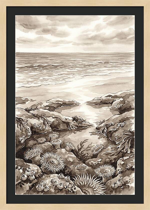 Beach With Natural Rock Pools