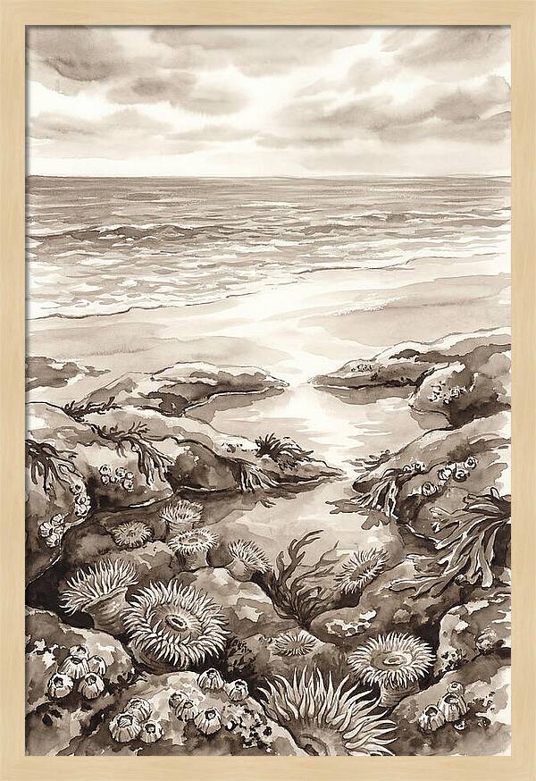 Beach With Natural Rock Pools
