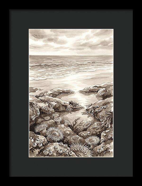 Beach With Natural Rock Pools