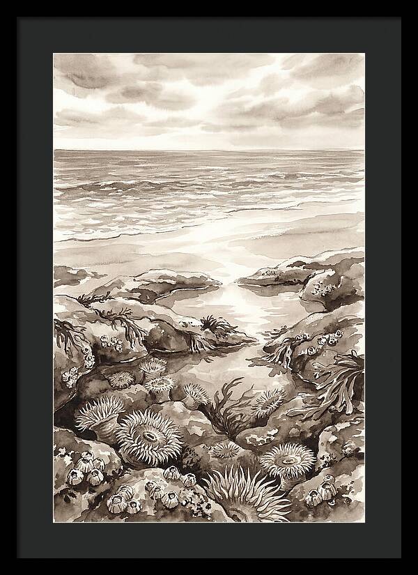 Beach With Natural Rock Pools