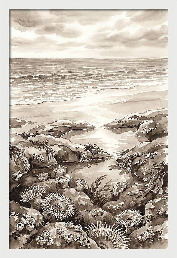 Beach With Natural Rock Pools