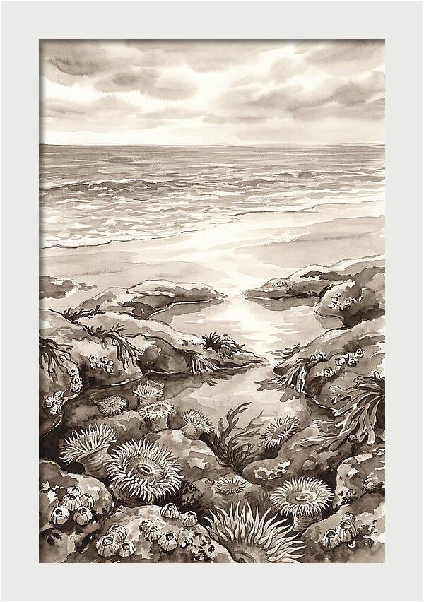 Beach With Natural Rock Pools