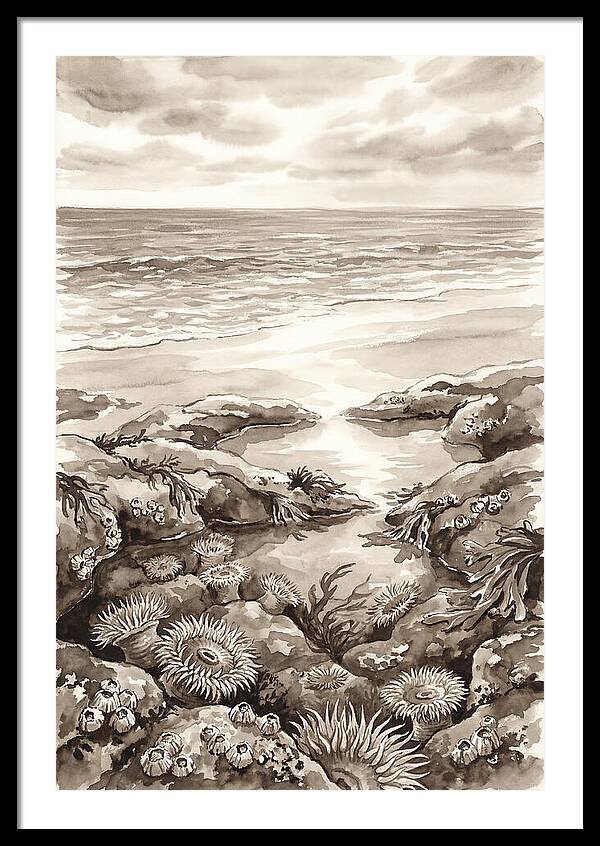 Beach With Natural Rock Pools