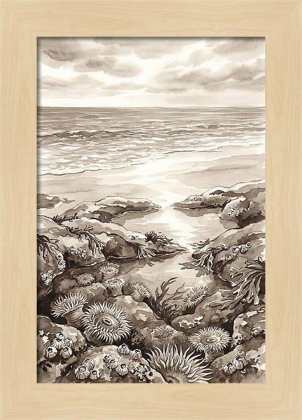 Beach With Natural Rock Pools