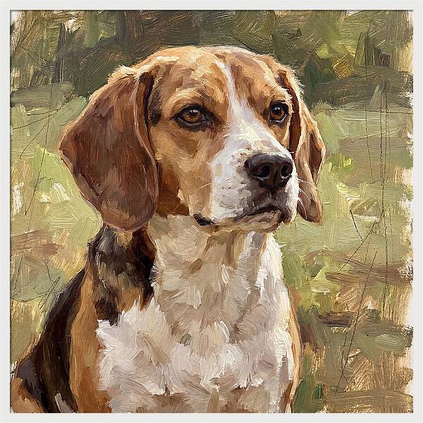 Beagle In Nature