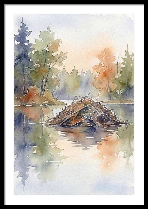 Beaver Lodge At Dusk