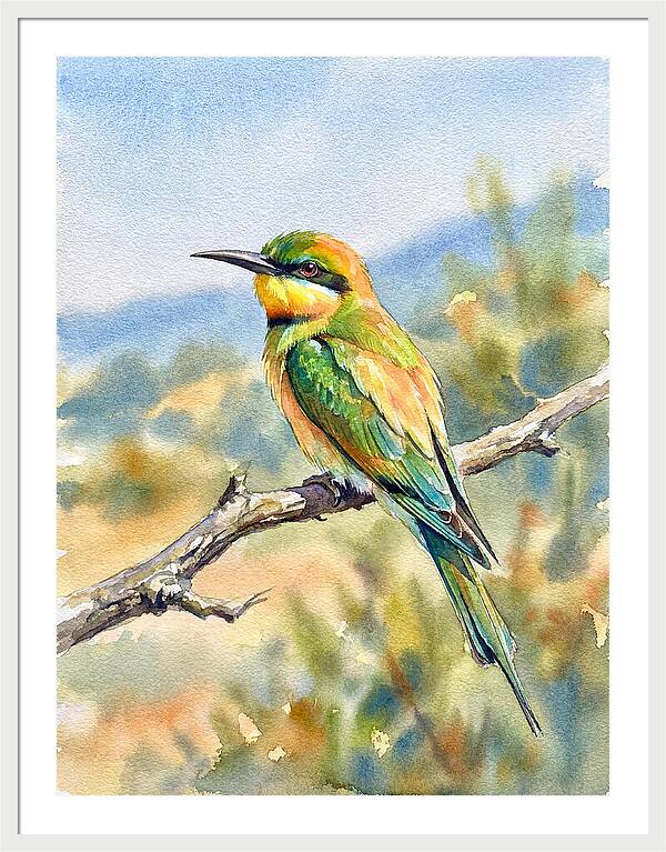 Bee Eater Perched In Nature