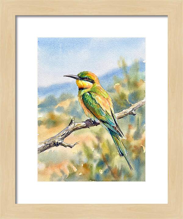 Bee Eater Perched In Nature