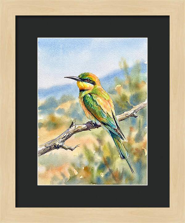 Bee Eater Perched In Nature