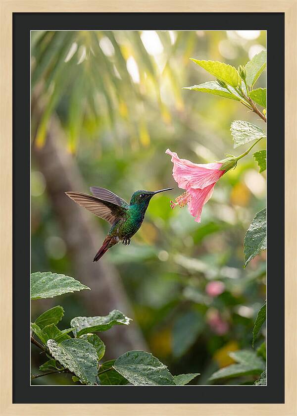 Bee Hummingbird Among Blossoms