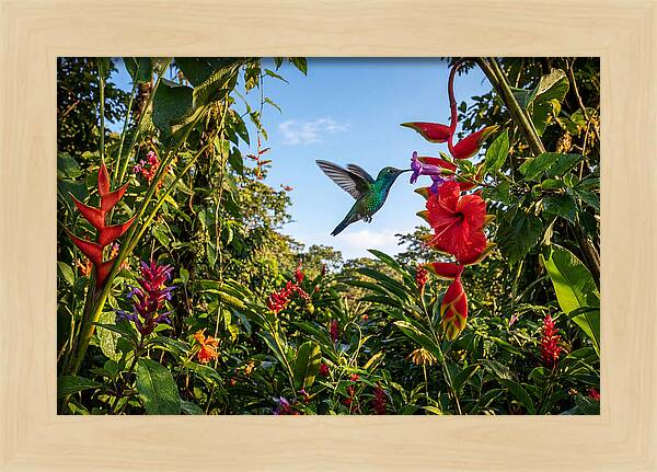 Bee Hummingbird Among Vibrant Blooms