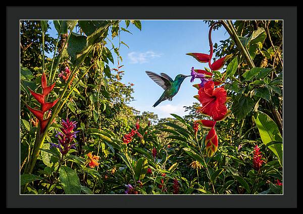 Bee Hummingbird Among Vibrant Blooms
