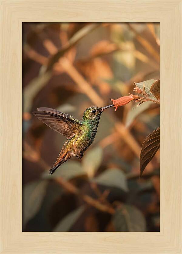 Bee Hummingbird In Flight