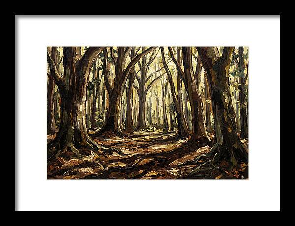 Beech Forest Cathedral