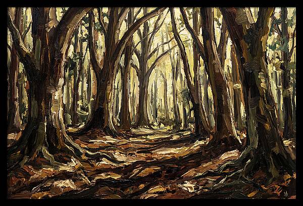 Beech Forest Cathedral